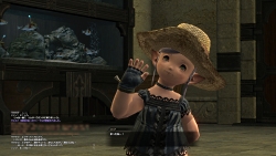 ファイナルファンタジー14 | FF14 | FINAL FANTASY XIV