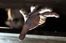 画像ギャラリー No.009のサムネイル画像 / 「ゾンビ イン ワンダーランド」がゾンビつながりであの映画とコラボ