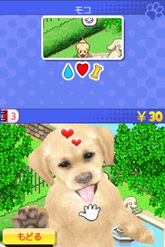 画像ギャラリー No.002のサムネイル画像 / DSiウェア「ワンコと一緒♪」明日配信。遊べる犬種など概要を公開