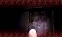 画像ギャラリー No.014のサムネイル画像 / ハドソンが贈る,Wii専用ジャパニーズホラーアドベンチャー「CALLING 〜黒き着信〜」とは?