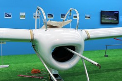 画像ギャラリー No.005のサムネイル画像 / MMORPG「ArcheAge」が“グライダーつながり”のコラボ企画を実施。“ArcheAgeの世界展”レポート