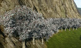 画像集#002のサムネイル/「ArcheAge」,4月24日の基本プレイ無料化移行に先駆けて,本日からフリープレイが可能に。巨大魚をテーマにした魚釣りイベントなども開催中