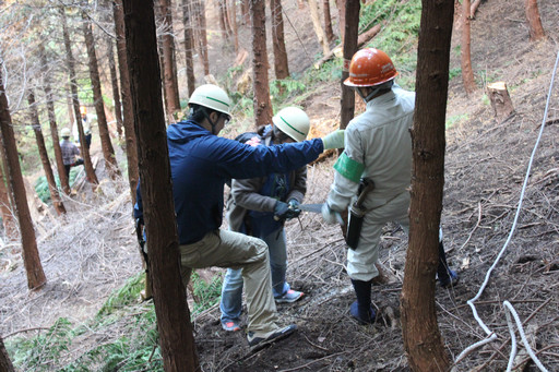 画像ギャラリー No.003のサムネイル画像 / 足柄に生まれた「ArcheAgeの森」でプレイヤーが間伐作業に挑戦!「ArcheAgeの森プロジェクト」森林づくり体験レポート