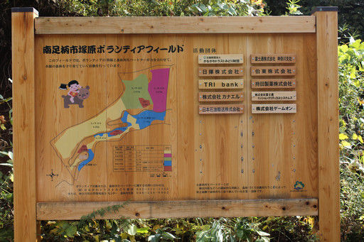 画像ギャラリー No.004のサムネイル画像 / 足柄に生まれた「ArcheAgeの森」でプレイヤーが間伐作業に挑戦!「ArcheAgeの森プロジェクト」森林づくり体験レポート