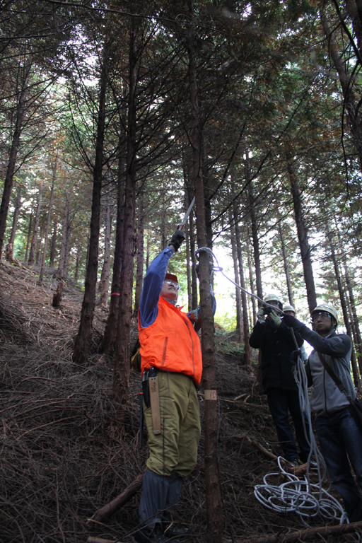 画像ギャラリー No.012のサムネイル画像 / 足柄に生まれた「ArcheAgeの森」でプレイヤーが間伐作業に挑戦!「ArcheAgeの森プロジェクト」森林づくり体験レポート