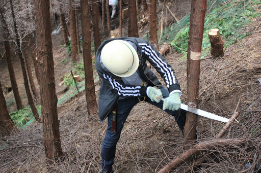 画像ギャラリー No.013のサムネイル画像 / 足柄に生まれた「ArcheAgeの森」でプレイヤーが間伐作業に挑戦!「ArcheAgeの森プロジェクト」森林づくり体験レポート
