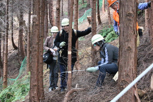 画像ギャラリー No.014のサムネイル画像 / 足柄に生まれた「ArcheAgeの森」でプレイヤーが間伐作業に挑戦!「ArcheAgeの森プロジェクト」森林づくり体験レポート