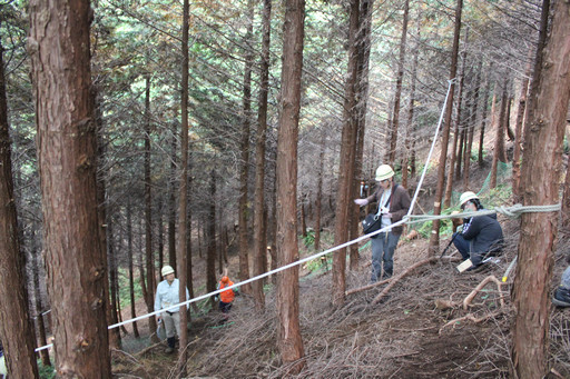 画像ギャラリー No.015のサムネイル画像 / 足柄に生まれた「ArcheAgeの森」でプレイヤーが間伐作業に挑戦!「ArcheAgeの森プロジェクト」森林づくり体験レポート