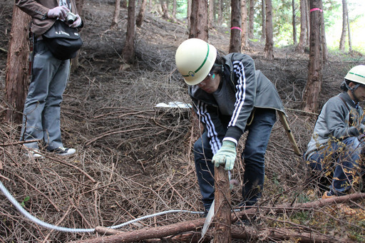 画像ギャラリー No.017のサムネイル画像 / 足柄に生まれた「ArcheAgeの森」でプレイヤーが間伐作業に挑戦!「ArcheAgeの森プロジェクト」森林づくり体験レポート