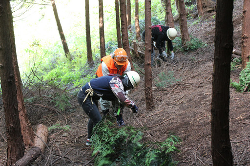 画像ギャラリー No.018のサムネイル画像 / 足柄に生まれた「ArcheAgeの森」でプレイヤーが間伐作業に挑戦!「ArcheAgeの森プロジェクト」森林づくり体験レポート