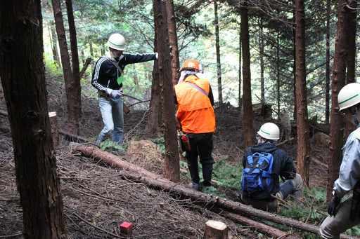 画像ギャラリー No.019のサムネイル画像 / 足柄に生まれた「ArcheAgeの森」でプレイヤーが間伐作業に挑戦!「ArcheAgeの森プロジェクト」森林づくり体験レポート