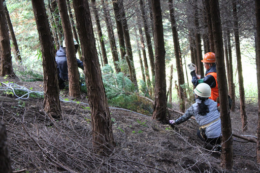 画像ギャラリー No.020のサムネイル画像 / 足柄に生まれた「ArcheAgeの森」でプレイヤーが間伐作業に挑戦!「ArcheAgeの森プロジェクト」森林づくり体験レポート