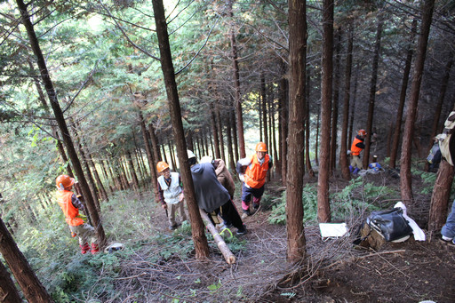 画像ギャラリー No.021のサムネイル画像 / 足柄に生まれた「ArcheAgeの森」でプレイヤーが間伐作業に挑戦!「ArcheAgeの森プロジェクト」森林づくり体験レポート