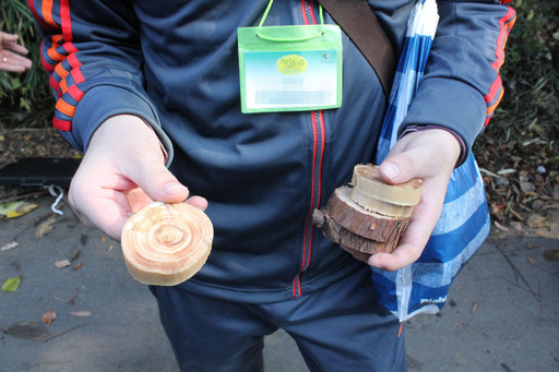 画像ギャラリー No.023のサムネイル画像 / 足柄に生まれた「ArcheAgeの森」でプレイヤーが間伐作業に挑戦!「ArcheAgeの森プロジェクト」森林づくり体験レポート