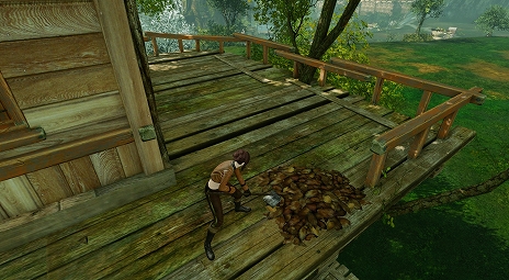 画像ギャラリー No.009のサムネイル画像 / 「ArcheAge」次期アップデート「饗宴の園」の最新情報。ついに木の上で生活できるように
