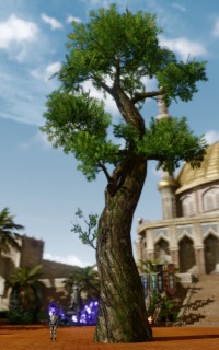 画像ギャラリー No.011のサムネイル画像 / 「ArcheAge」長期大型イベント「神の盾と預言の樹」の第2話が本日スタート