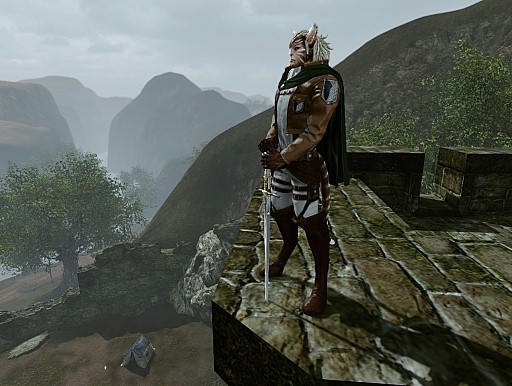 画像ギャラリー No.005のサムネイル画像 / 「ArcheAge」,TVアニメ「進撃の巨人」とのコラボイベントが本日スタート。「兵団服」モチーフにしたアバターの販売や,特別なイベントが実施