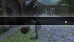 画像ギャラリー No.003のサムネイル画像 / アクションの操作感はかなり良好! 期待の新作「ニーア レプリカント」の魅力をプレイムービーで紹介