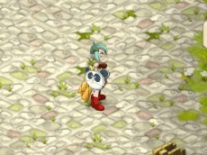 画像ギャラリー No.004のサムネイル画像 / 正式サービスにおける課金体系は基本無料に決定。「DOFUS(ドフス)」,1日限定のオープンテクニカルテストが本日17:00にスタート