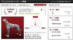 画像ギャラリー No.003のサムネイル画像 / 愛犬でレースに参加!「ザ エキサイティングドッグレース」正式サービスが本日よりスタート