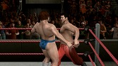 #034Υͥ/֥åޥ˥XXVIפܤPPVΤǡWWE 2010 SmackDown vs Rawפǵʬ夲褦