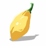 画像ギャラリー No.012のサムネイル画像 / ペット育成mixiアプリ「ぷちエンジェル」が5月1日よりβオープン中