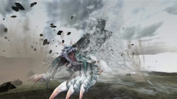 画像ギャラリー No.005のサムネイル画像 / 1000名様にXbox 360版「モンスターハンター フロンティア オンライン」が起動ディスクなしで遊べるクライアントのDL用コードと,48時間分のXbox LIVE ゴールド メンバーシップをセットでプレゼント