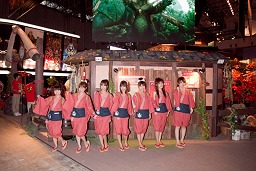 TGS 2010ϥоŪǲͥޤǡ絬ϡˤǤϤTGSѥ˥̿Ǻ