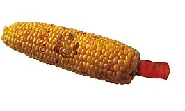 画像ギャラリー No.011のサムネイル画像 / 「MHP3rd」と信州渋温泉のコラボ企画が30日に開幕。狩り・釣り・祭りを満喫