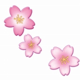 画像ギャラリー No.005のサムネイル画像 / 「キャラフレ」,お花見イベント&春の学園祭を開催。桜のアイテムも