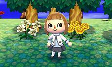 画像ギャラリー No.015のサムネイル画像 / 「とびだせ どうぶつの森」,基本的な村づくりやマイホームカスタマイズ,オンライン要素の情報が最新スクリーンショットと共に公開