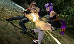 DOA Championsפ⻲˥ƥɡ3DSDEAD OR ALIVE Dimensionsץƥȥݡ