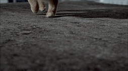 画像ギャラリー No.005のサムネイル画像 / 「TOKYO JUNGLE」の販売本数20万本突破を記念したスペシャルCMが渋谷の街頭ビジョンで放映