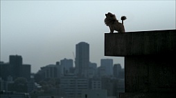 画像ギャラリー No.009のサムネイル画像 / 「TOKYO JUNGLE」の販売本数20万本突破を記念したスペシャルCMが渋谷の街頭ビジョンで放映