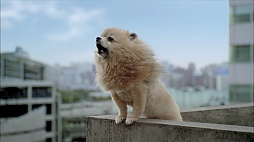 画像ギャラリー No.010のサムネイル画像 / 「TOKYO JUNGLE」の販売本数20万本突破を記念したスペシャルCMが渋谷の街頭ビジョンで放映