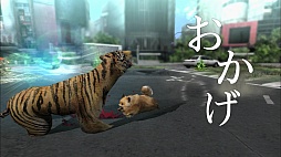 画像ギャラリー No.011のサムネイル画像 / 「TOKYO JUNGLE」の販売本数20万本突破を記念したスペシャルCMが渋谷の街頭ビジョンで放映