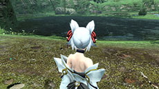 画像集#063のサムネイル/「PSO2」2周年記念アップデート前編 Part3では,初音ミク&巡音ルカのSPライブやエピソード2の最終章を配信。感謝祭の特典アイテムはダンボーとのコラボ