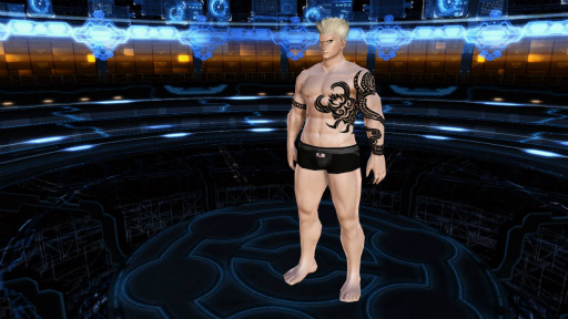 画像ギャラリー No.078のサムネイル画像 / 「PSO2」の大型アップデート「ARKS NEW YEAR CARNIVAL 2017」Part2が本日実施。期間限定バレンタインイベントや新スクラッチが登場