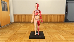 画像ギャラリー No.142のサムネイル画像 / 「PSO2」で「雨風とともに2017」が配信。ビンゴではフログラッピーの進化デバイス,コレクトファイルではフォルニス系★13武器などを入手可能