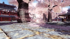 画像ギャラリー No.108のサムネイル画像 / 「ファンタシースターオンライン2」,本日のアップデートでバスタークエストを拡張。「DEAD OR ALIVE」シリーズコラボのACスクラッチも登場