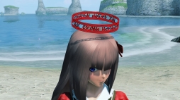 画像ギャラリー No.081のサムネイル画像 / 「PSO2」,EPISODE5春の中規模アップデート「美しき四天と無限の世界」Part1が本日実装。通常クラスのレベルキャップが85に