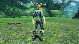 画像ギャラリー No.223のサムネイル画像 / 「PSO2」,EPISODE5春の中規模アップデート「美しき四天と無限の世界」Part1が本日実装。通常クラスのレベルキャップが85に