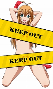 画像ギャラリー No.001のサムネイル画像 / 「ブラウザ一騎当千」,けしからんサンタ衣装の闘士カードが登場