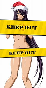 画像ギャラリー No.002のサムネイル画像 / 「ブラウザ一騎当千」,けしからんサンタ衣装の闘士カードが登場