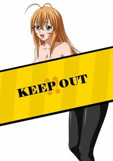 画像ギャラリー No.003のサムネイル画像 / 「ブラウザ一騎当千」,黄金のコスチュームを身にまとう新カードが登場