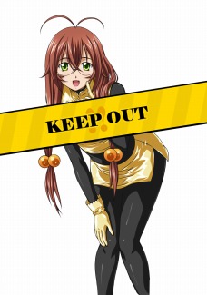 画像ギャラリー No.004のサムネイル画像 / 「ブラウザ一騎当千」,黄金のコスチュームを身にまとう新カードが登場