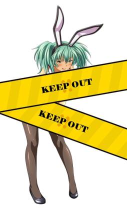 画像ギャラリー No.004のサムネイル画像 / 「ブラウザ一騎当千」のトーシダスに「バニーガール闘士」が期間限定で登場