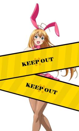 画像ギャラリー No.007のサムネイル画像 / 「ブラウザ一騎当千」のトーシダスに「バニーガール闘士」が期間限定で登場