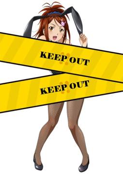 画像ギャラリー No.010のサムネイル画像 / 「ブラウザ一騎当千」のトーシダスに「バニーガール闘士」が期間限定で登場