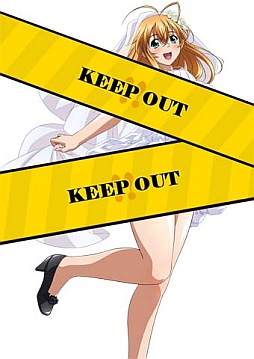 画像ギャラリー No.004のサムネイル画像 / 「ブラウザ一騎当千」,期間限定販売の「ウェディング闘士」に新カードを追加